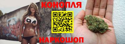 apvp Обь